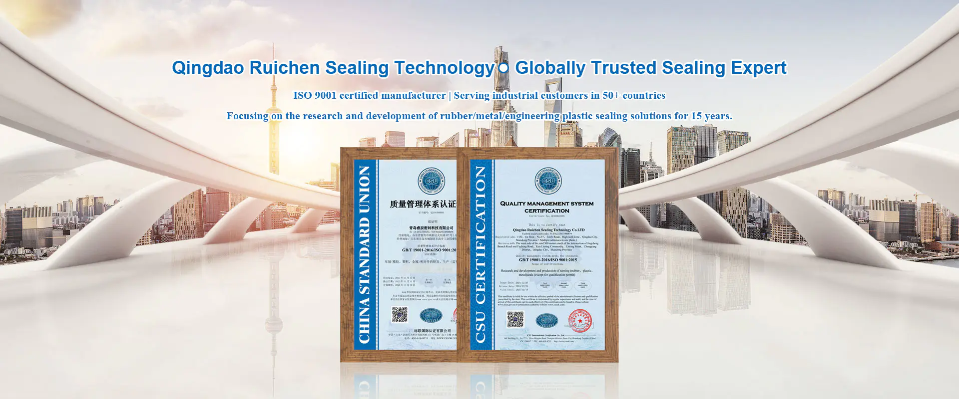 चीन सीलिंग भाग निर्माता