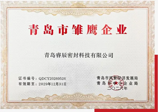 Qingdao Ruichen Sealing Technology Co., Ltd ची 2026 Qingdao 