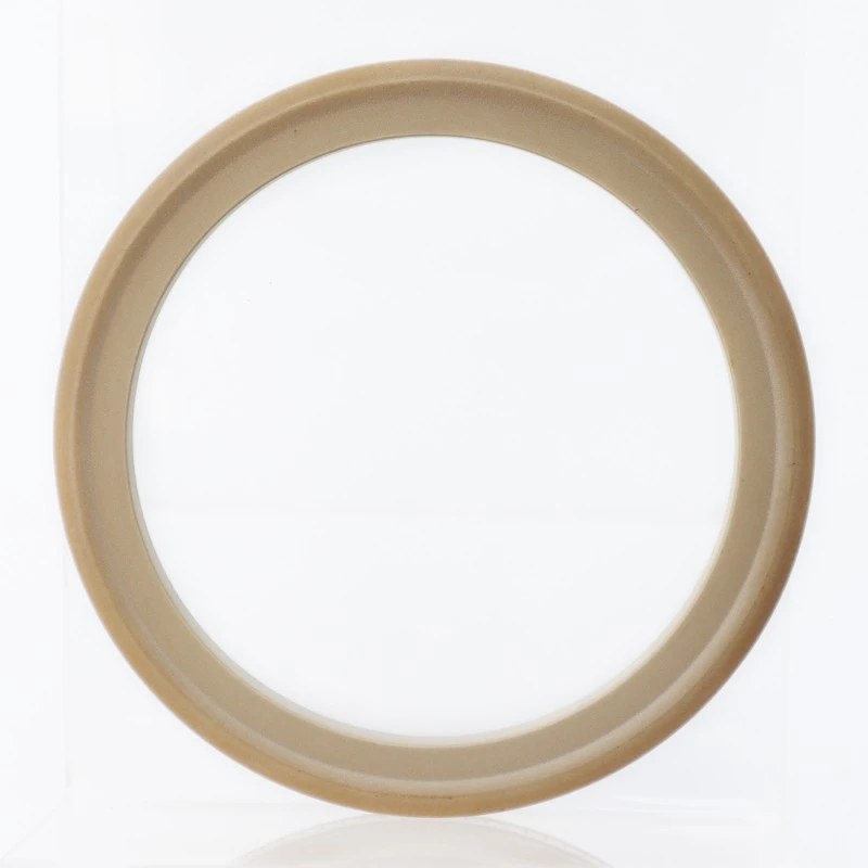 स्प्रिंग-एनर्जिज्ड फेस सील